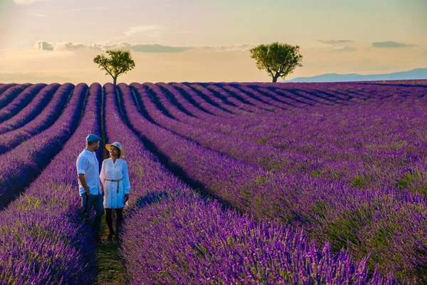 Stock image Provence, Lavender field France, Valensole Plateau, a colorful field of Lavender in bloom, Provence, Southern France Couple men and women on vacation at the Provence Southern France