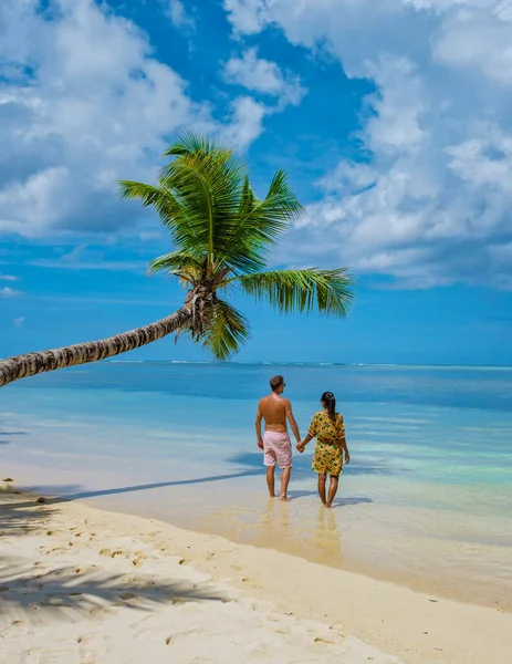 Mahe Seyşeller Palmiye Ağaçları Mahe Seyşeller Mavi Bir Okyanusu Olan — Stok fotoğraf