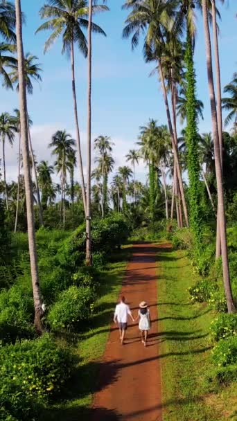 Wysokie Zielone Palmy Tropikalnej Wyspie Koh Mak Tajlandia Wieczorem Widok — Wideo stockowe
