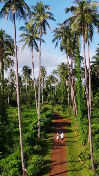 Hauts Palmiers Verts Sur Île Tropicale Koh Mak Thaïlande Soirée — Video