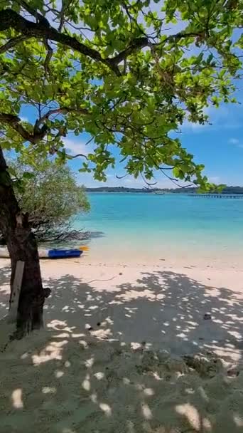 Тропічний Острів Білим Яким Піщаним Пляжем Пальмами Бірюзовим Океаном — стокове відео