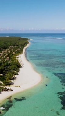 Le Morne plajı Mauritius Tropikal plajı. Palmiye ağaçları, beyaz kum mavisi okyanus ve şemsiyeli plaj yatakları, güneş sandalyeleri ve tropik bir sahildeki palmiye ağacının altında şemsiyeler. Mauritius Le Morne