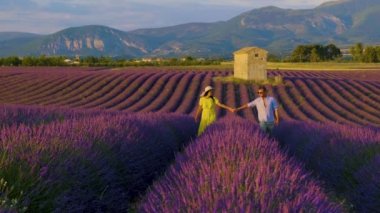Provence, Lavanta tarlası Fransa, Valensole Platosu Provence, Güney Fransa 'da renkli bir lavanta tarlası. Lavanta tarlası. Avrupa. Provence 'da tatilde olan birkaç erkek ve kadın.