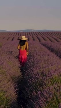 Provence, Lavanta tarlası Fransa, Valensole Platosu, Provence 'de renkli bir lavanta tarlası, Provence Asyalı kadınlar Lavanta tarlalarında kırmızı elbiseli bir kadınla tatildeler.