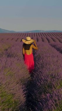 Provence, Lavanta tarlası Fransa, Valensole Platosu, Provence 'de renkli bir lavanta tarlası, Provence Asyalı kadın tatilinde kırmızı elbiseli ve lavanta tarlasında şapkalı kadınlar.