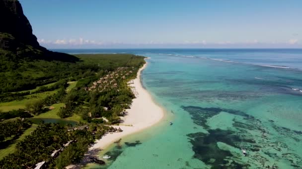 Morne Beach Mauritius Tropical Beach Palm Trees White Sand Blue — Wideo stockowe