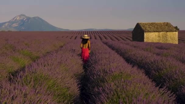 Provence Lavendelfeld Frankreich Hochebene Von Valensole Ein Buntes Lavendelfeld Der — Stockvideo