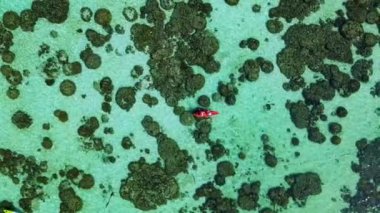 Koh Lipe Tayland 'ın okyanusunda kano süren insanlar, Koh Lipe Okyanusu' ndaki mercan kayalıklarında kayak yapan bir çift kadın ve erkek.. 