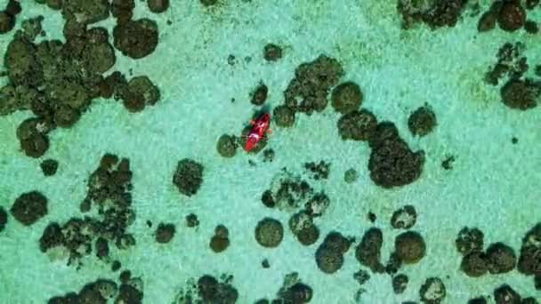 카약을 타이의 바다에 사람들 대양에 산호초에 — 비디오