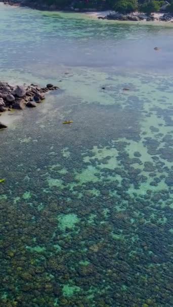在一个阳光灿烂的日子里 在泰国的高丽岛上 鸟瞰着碧绿的大海 在沙滩上俯瞰白色沙滩和蓝色海洋的无人机 — 图库视频影像