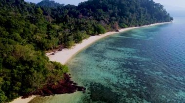 Tayland, Trang 'daki Koh Kradan adası. Palmiye ağaçları ve turkuaz renkli okyanuslu mercan resifleri olan tropik plajlar yaz boyunca