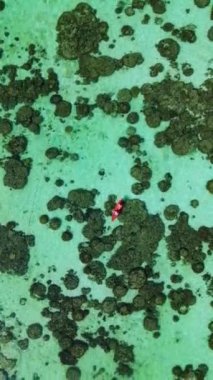 Güneşli bir günde Koh Lipe Tayland 'da kayak yapan insanlar Koh Lipe Okyanusu' ndaki kayalıklarda kayak yapan bir çift kadın ve erkek.. 
