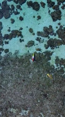 Koh Lipe Tayland 'ın okyanusunda kano süren insanlar, Koh Lipe Denizi' ndeki mercan kayalıklarında kayak yapan bir çift kadın ve erkek.. 