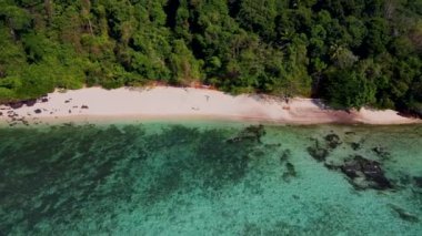 Tayland, Trang 'daki Koh Kradan adasında tatilde olan birkaç erkek ve kadın. Yaz boyunca mercan resifi ve turkuaz renkli okyanusu olan tropik plaj.
