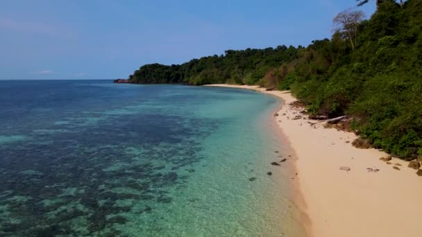 Koh Kradan Trang Thailand Tropisk Strand Med Palmer Och Ett — Stockvideo