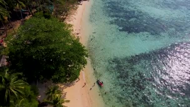 Légi Kilátás Koh Kradan Sziget Trang Thaiföld Trópusi Strand Korallzátonnyal — Stock videók
