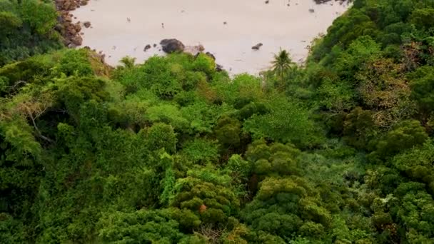 Вид Повітря Острів Кох Крадан Тран Таїланд Тропічний Пляж Кораловим — стокове відео