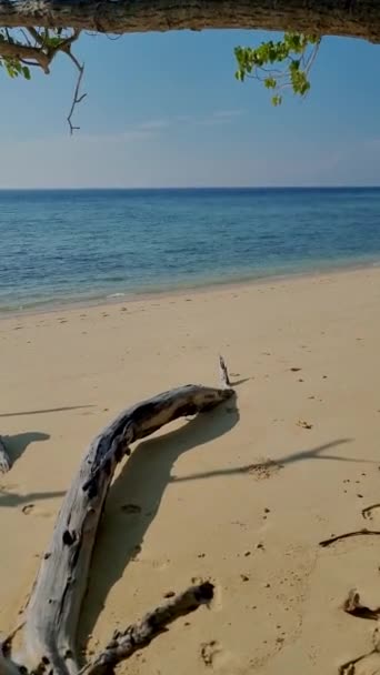 Tayland Trang Daki Koh Kradan Adası Tropikal Plajı — Stok video