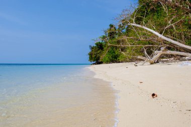 Tayland 'da Koh Kradan adasının kumsalında manzara, Koh Kradan Adası Trang üzerinde hava manzarası