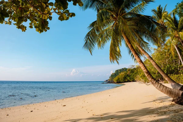 Koh Kradan Adası Trang Güney Tayland, Tayland 'da palmiye ağaçları olan tropikal plaj. 