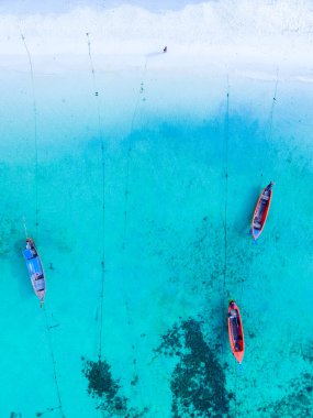 Koh Lipe Adası 'nın mavi okyanusunda uzun kuyruklu tekneler Güney Tayland ve turkuaz renkli bir okyanus. 