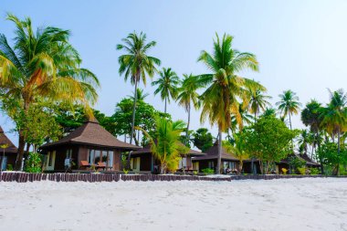 Tayland 'da Andaman Denizi' ndeki Koh Mook tropikal adası, beyaz kumlu tropik plaj ve hindistan cevizi palmiyeli turkuaz renkli okyanus. Sahildeki ahşap bungalovlar