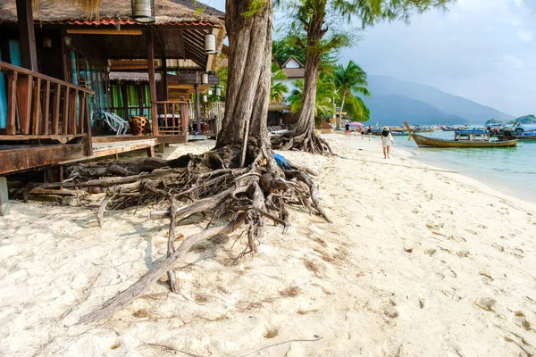 Erosione Della Spiaggia Sulla Spiaggia Koh Lipe Thailandia Erosione Costiera — Foto Stock