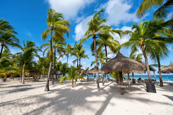 Palm Beach Aruba Increíble Playa Tropical Con Palmeras Que Entran — Foto de Stock