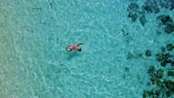 바다에서 수영하는 아시아 여성들 타이에서 휴가를 보내는 바다를 물색으로 물들이는 — 비디오