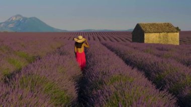 Provence, Lavanta tarlası Fransa, Valensole Platosu, Provence 'de renkli bir lavanta tarlası, Provence Asyalı kadın tatilinde kırmızı elbiseli ve lavanta tarlasında şapkalı kadınlar.