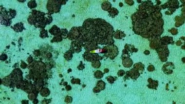 Koh Lipe Tayland okyanusunda kayak yapan insanlar Koh Lipe Okyanusu 'ndaki mercan kayalıklarında kayak yapıyorlar.. 