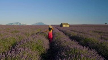 Provence, Lavanta tarlası Fransa, Valensole Platosu, Provence 'de renkli bir lavanta tarlası, Provence Asyalı kadınlar Lavanta tarlalarında kırmızı elbiseli bir kadınla tatildeler.