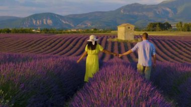 Provence, Lavanta tarlası Fransa, Valensole Platosu Provence, Güney Fransa 'da renkli bir lavanta tarlası. Lavanta tarlası. Avrupa. Provence 'da tatilde olan birkaç erkek ve kadın.