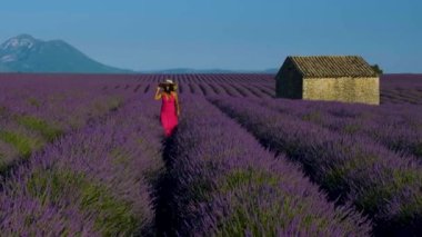 Provence, Lavanta tarlası Fransa, Valensole Platosu, Provence 'de renkli bir lavanta tarlası, Provence Asyalı kadınlar Lavanta tarlalarında kırmızı elbiseli bir kadınla tatildeler.