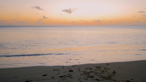 Beach Saint Lucia Castries Luxury Hotels Lucia Tropical Island Blue — Stock Video