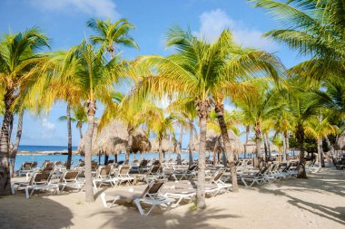 Karayip adası Curacao Karayipler 'deki Mambo Plajı Tropikal Plajı.