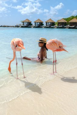 Aruba 'da pembe flamingolu Asyalı kadınlar, Aruba Adası Karayipleri' ndeki plajda flamingolar..