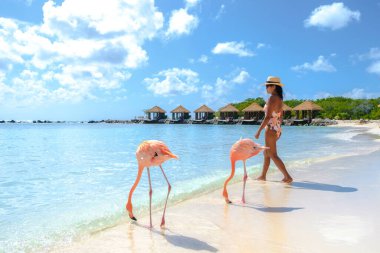 Aruba 'da pembe flamingolu Asyalı kadınlar, Aruba Adası Karayipleri' ndeki plajda flamingolar..