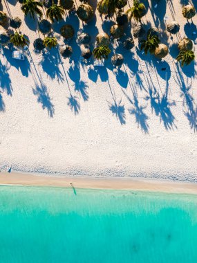 Palm Beach Aruba Karayipleri, Aruba Antilleri 'nde palmiye ağaçları olan uzun kumlu plaj..