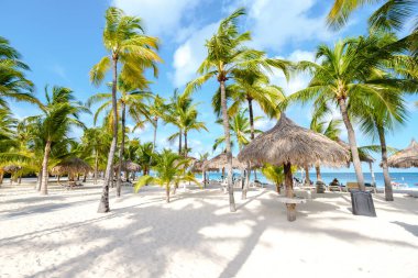 Palm Beach Aruba Karayip Adası, Aruba Antilleri 'nde palmiye ağaçları olan beyaz kumlu plaj..