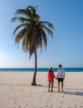 Palm Beach Aruba Karayipleri, tatil sırasında Aruba Antilleri 'nde palmiye ağaçları olan beyaz kumlu bir plajda birkaç kadın ve erkek.