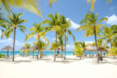 Palm Beach Aruba Karayipleri, Aruba Antilleri 'nde palmiye ağaçları ve mavi bir okyanusla beyaz kumlu plaj..