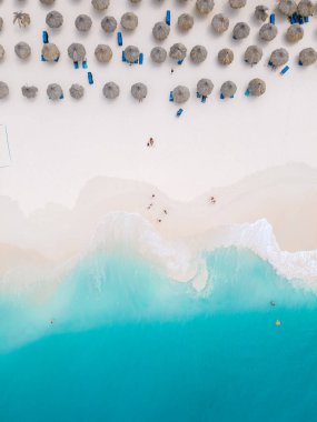 Eagle Beach Aruba, Palm Trees on the shoreline of Eagle Beach in Aruba, an aerial drone view at the beach from above clipart