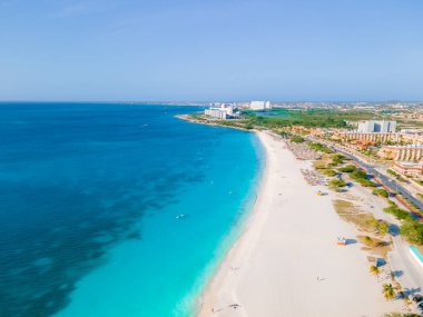 Kartal Sahili Aruba, Aruba 'daki Kartal Sahili' nin kıyısında Palmiye Ağaçları, yukarıdan kumsala doğru bir insansız hava aracı.