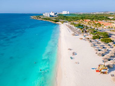 Eagle Beach Aruba, Palm Trees on the shoreline of Eagle Beach in Aruba, a aerial drone view at the beach clipart