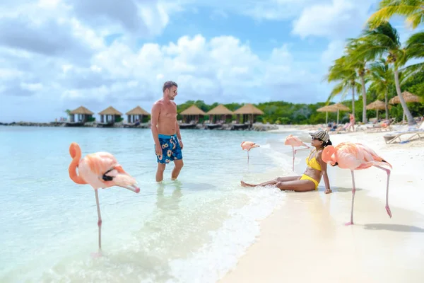 アルバビーチビーチでピンクフラミンゴ アルバ島でピンクフラミンゴとビーチで男性と女性のカップルカリブ海 — ストック写真