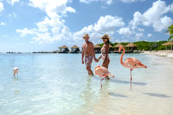 Пляж Арубы Розовыми Фламинго Пляже Пара Мужчин Женщин Пляже Розовыми — стоковое фото