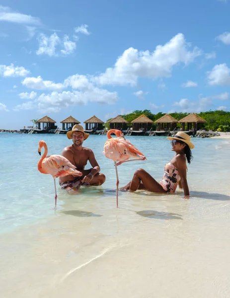 카리브해에서 플라밍고를 남녀가 해변가에 해변에 플라밍고가 아루바 — 스톡 사진