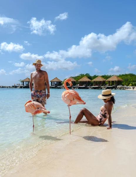 Пара Мужчин Женщин Пляже Розовыми Фламинго Карибах Острова Аруба Пляж — стоковое фото