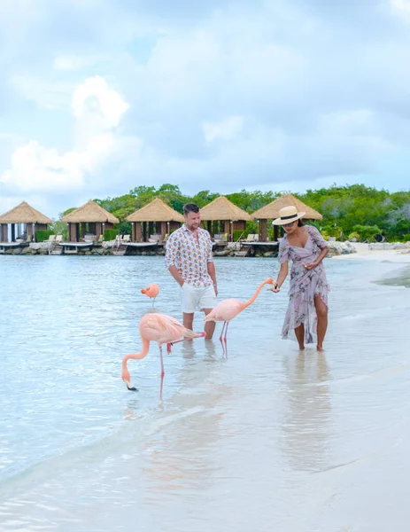 アルバ島のカリブ海でピンクのフラミンゴと一緒にビーチで男女のカップル ビーチでピンクのフラミンゴを持つアルバビーチ — ストック写真